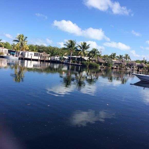 Meet your Posher, Lilianne - Picture 1 of 1